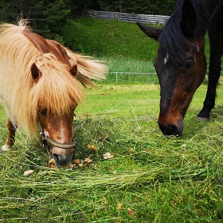 Ruadlhof Farm stay