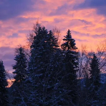 Vakantieboerderij Ruadlhof *